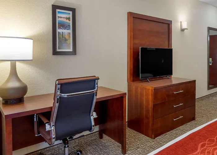 Comfort Inn & Suites Canton Riverstone Area